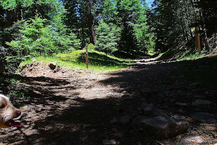 Escape To The Enchanted: Deerhead Campground, New Mexico