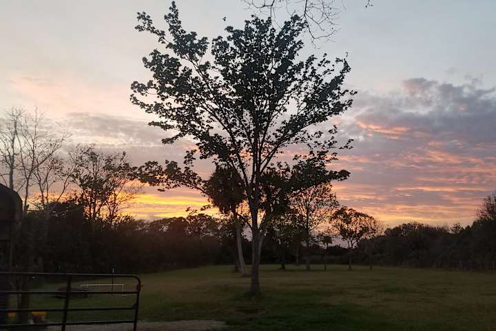 Farm Camping 10 Mins From Beach Camping With Alpacas Fl 5 Photos