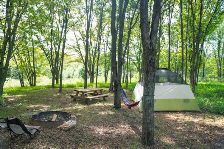backbone rock campground reviews tent sites