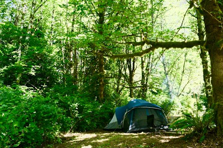 Camp Keyser Forest Camping Steve K S Land Wa 15 Photos
