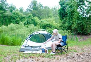 Serene Forested Blueberry Farm