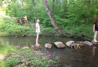 Nature Lovers Paradise