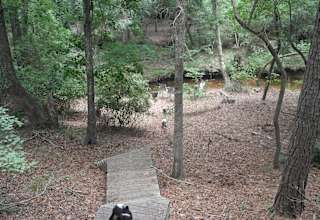 Shadow Hill Farm