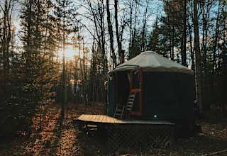 Small Yurt in the Woods