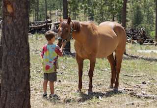 Earth Mountain Education Farm