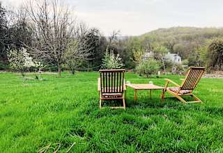 Mickelberry Forest Gardens