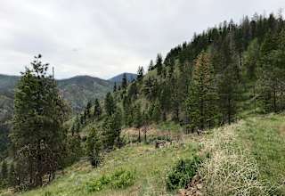 Black Horse Ranch