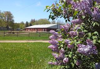 Double J Ranch Horse/Hobby Farm