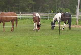 Double J Ranch Horse/Hobby Farm
