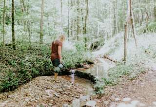 Fern Brook Nashville