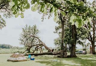 Papa's Park