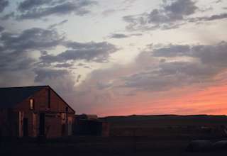 Quiet Cattle Ranch