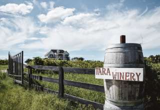 Tara Vineyard & Winery estate