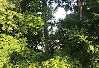 On the back of the farm