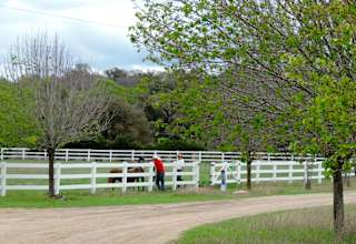 HomeAway Ranch & Wildlife Preserve