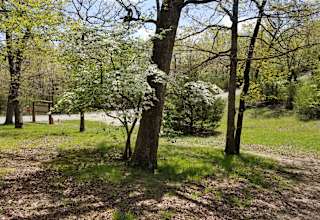 SonLight Campground and Cabins