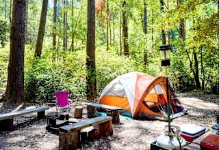 Camp Noyo