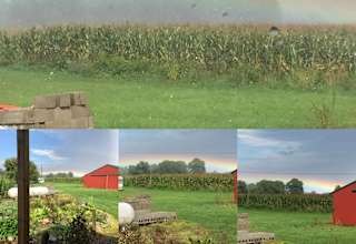 The Farm Camp