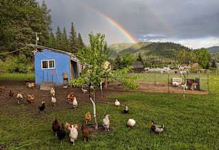 Rainbow Gulch Farm