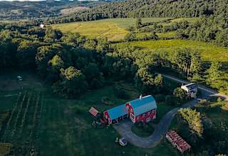 Wooded Farm Land
