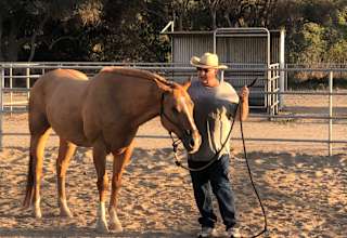 D&J Stables