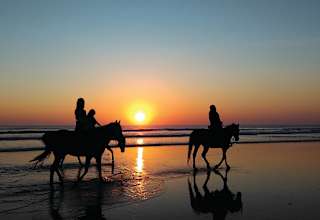 D&J Stables