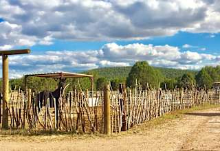 Sunset Ranch Resort