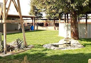Cowboy Land & Livestock