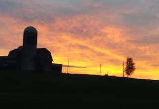 Apple Cove Farm