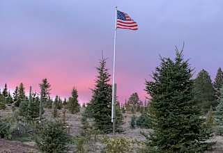 JIM’s TREE FARM, IN GREEN BLUFF