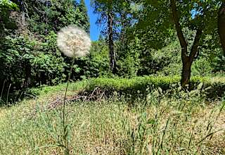 Healing Our Mined Ecology