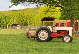 Browns Ridge Family Farm!