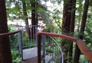 Redwood Retreat