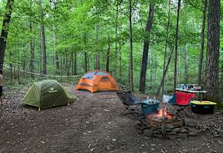 Private Forest Campsite