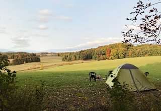 Archdale Meadows