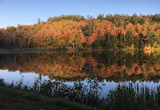 Sunnybrook Farm
