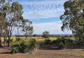 Chittering Acres