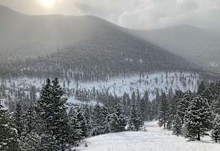 Montanor