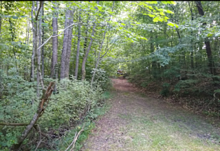 York's Campsite