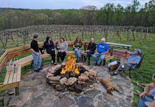 Wine Trail Wilderness