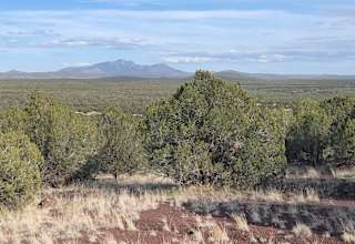 JackRabbit Run at 8 Mile Ranch