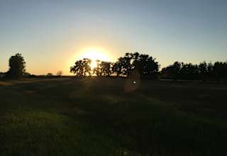 Steinke Ranch    Buffalo