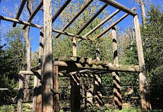 Steinke Ranch    Buffalo