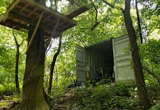 Urban Forest