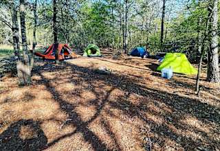 Briers  Ranch Primitive Camping