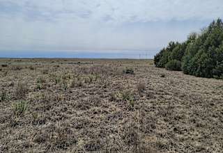 Open pasture sandhills