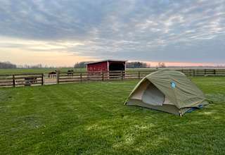 Camping on our Organic Farm