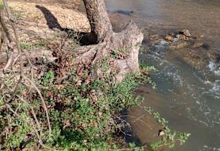 Crooked Creek Campground