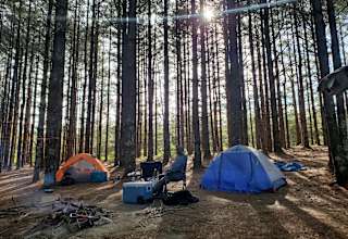 Hammock’Sway Private Off Grid Camp