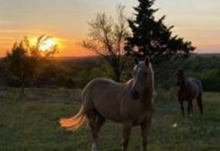 Equine Estates Rustic Ranch